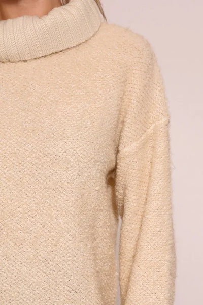 Cozy Chunky Cowl Neck Sweater