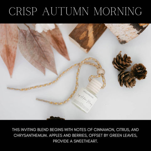 Fall Car Diffuser: Crisp Autumn Morning